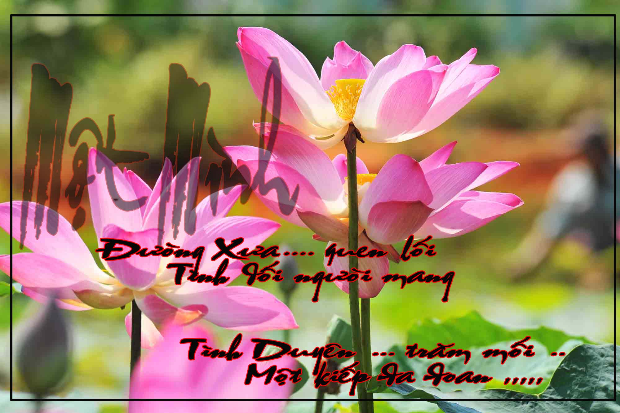 DUC_8898_4395 copy.jpg