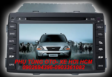 dvd-minh-thinh-004.jpg