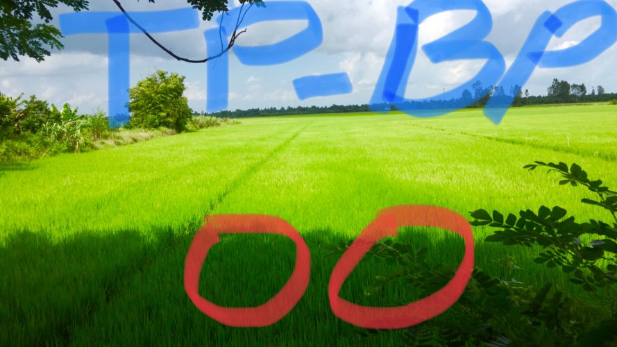 E6B346BA-6821-4447-8774-3D59FD15F8E3.jpeg