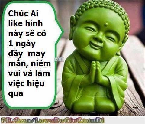 eaeab1de713d19fb47cc6e19769818db.jpg