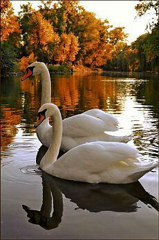 ef1c1e68f0a12fbc6efd1f8e57a50db3.jpg