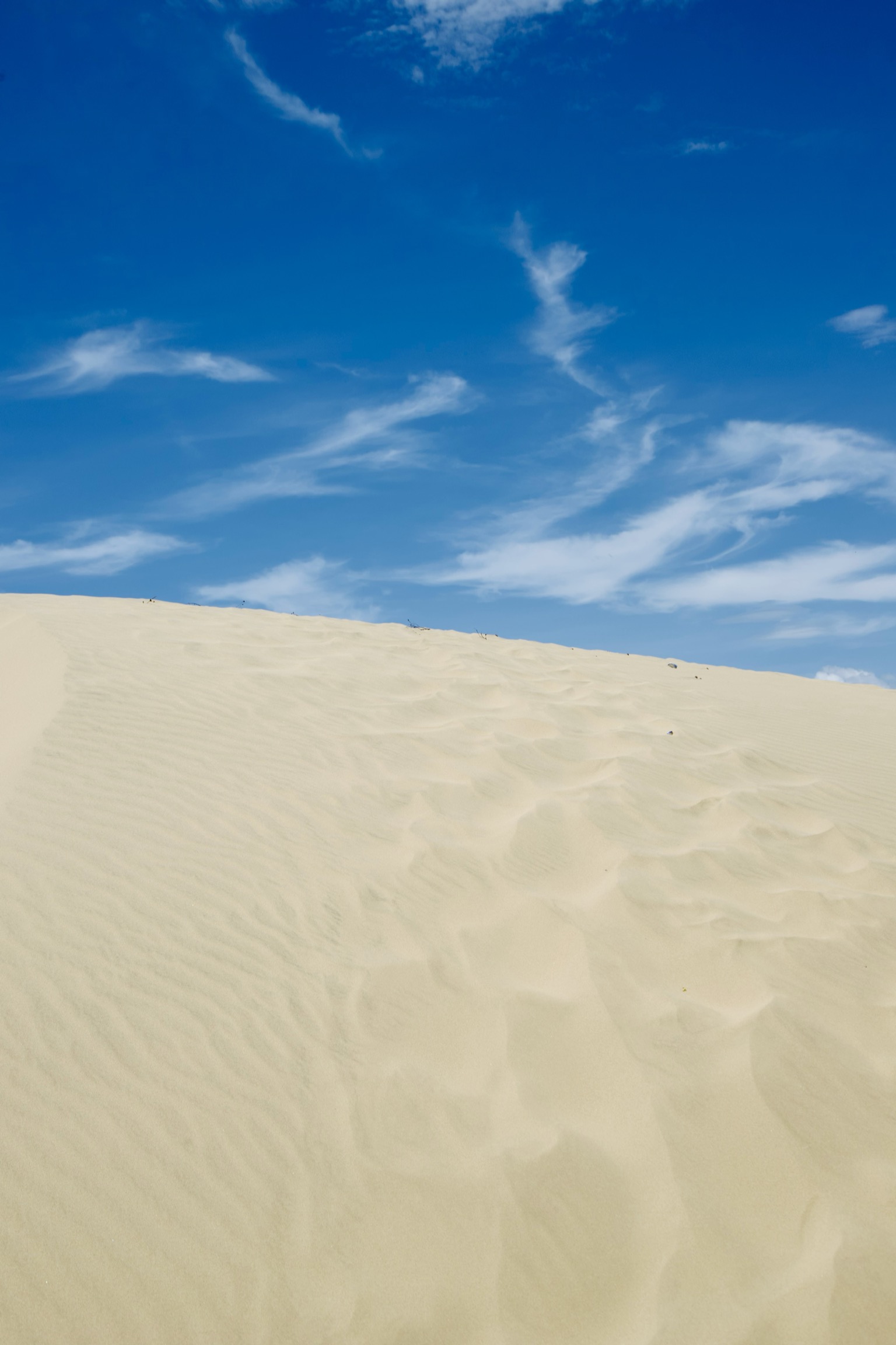 EFA51A25-EFCE-4A8B-B7BF-CA763989B3B0.jpeg