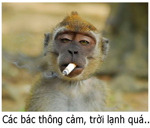 em-da-tro-lai-kho-dai-hon-xua-d5de80.jpg