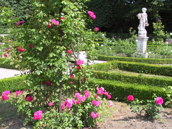 English-style-rose-garden[1].jpg