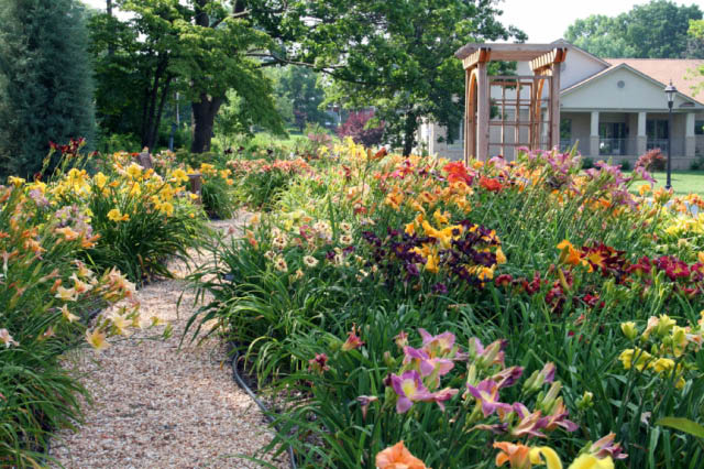 EUCHLER%20GARDEN%205[1].jpg