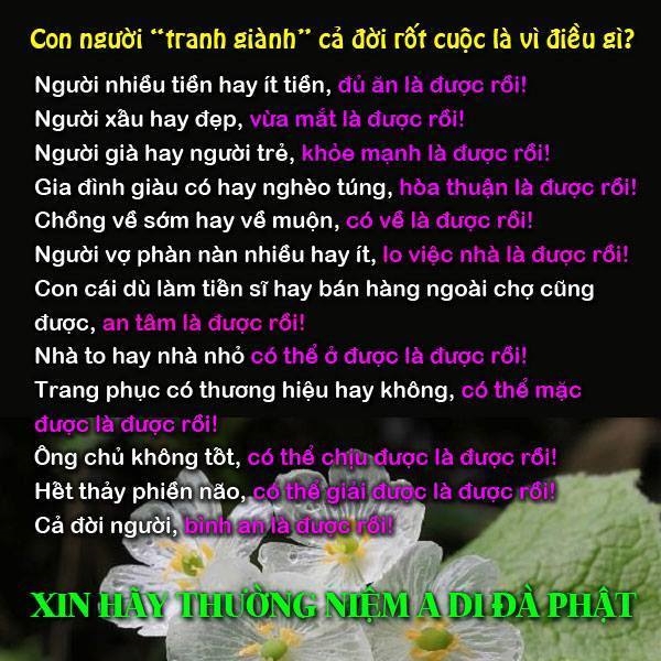 FB_20160715_12_59_43_Saved_Picture.jpg