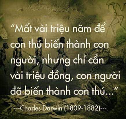 FB_IMG_1466005801761.jpg