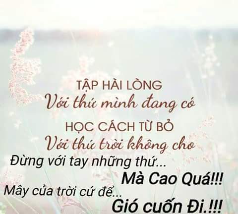 FB_IMG_1466009705831.jpg