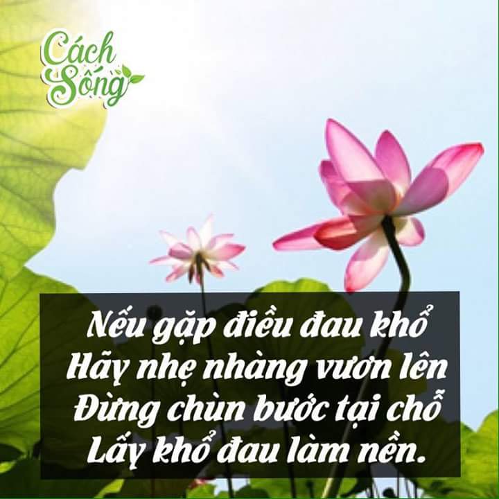 FB_IMG_1467962540133.jpg