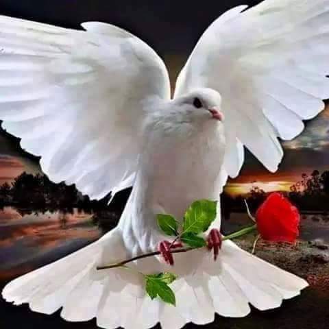 FB_IMG_1470043248889.jpg