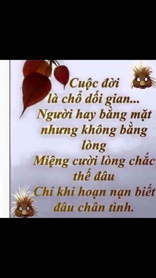 FB_IMG_1473124936021.jpg