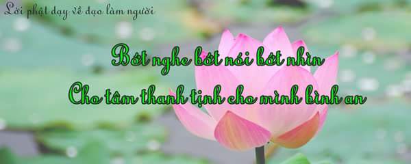 FB_IMG_1473432115907.jpg