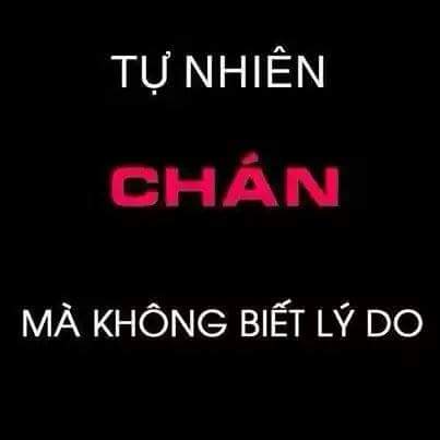 FB_IMG_1479027795256.jpg