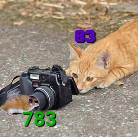 FB_IMG_1480383951476_2.png