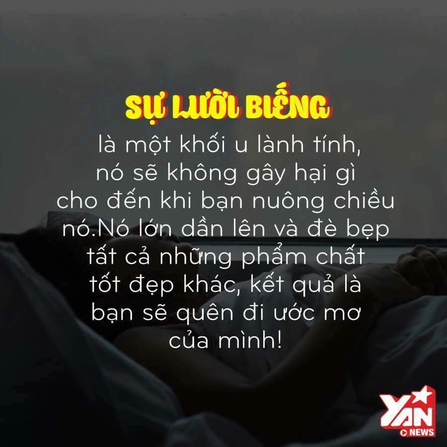FB_IMG_1481458856959.jpg