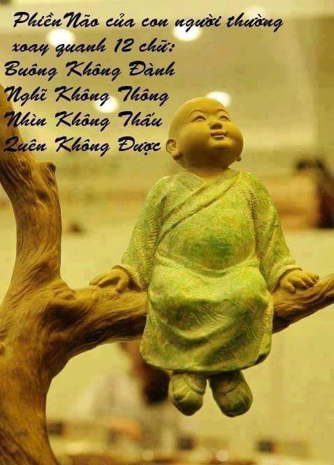 FB_IMG_1483065165900.jpg