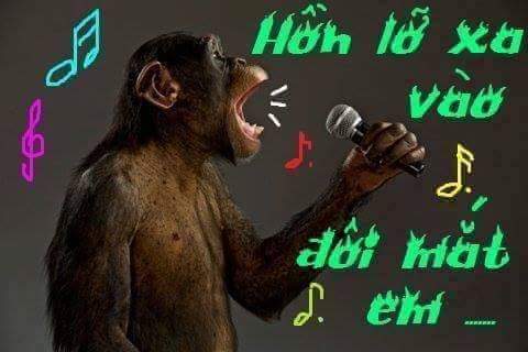 FB_IMG_1484104816926.jpg