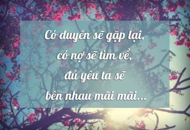 FB_IMG_1494863973395.jpg