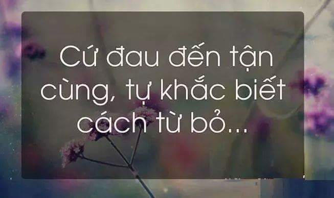 FB_IMG_1495598194853.jpg