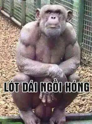 FB_IMG_1499689206495.jpg