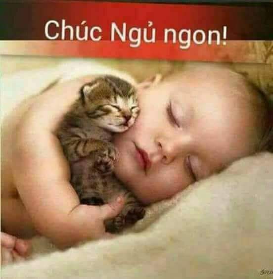FB_IMG_1499822438428.jpg