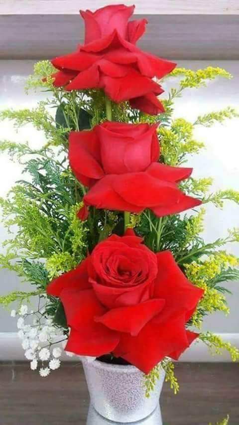 FB_IMG_1500559134202.jpg