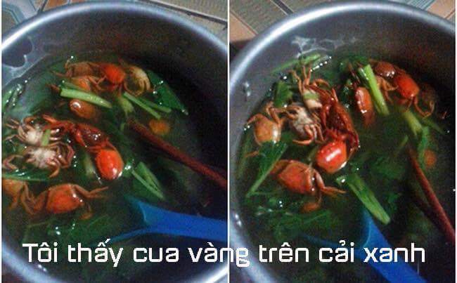 FB_IMG_1505247774015.jpg