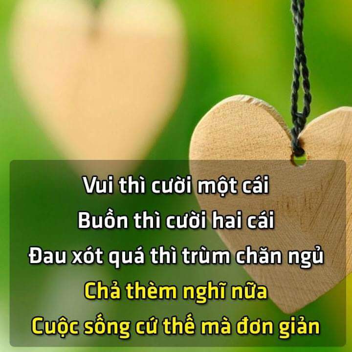 FB_IMG_1511104000459.jpg