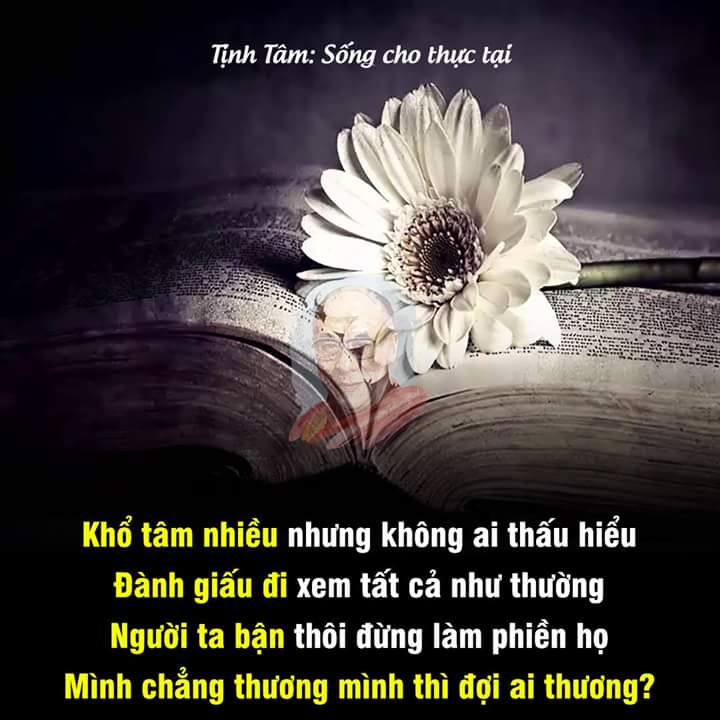 FB_IMG_1514255628661.jpg