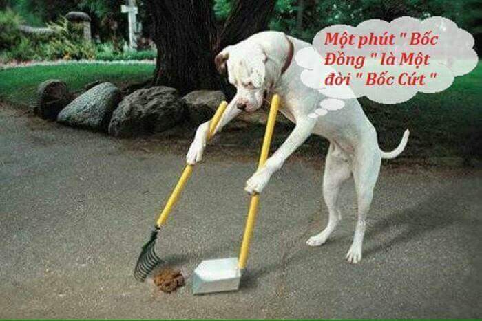 FB_IMG_1517404565387.jpg