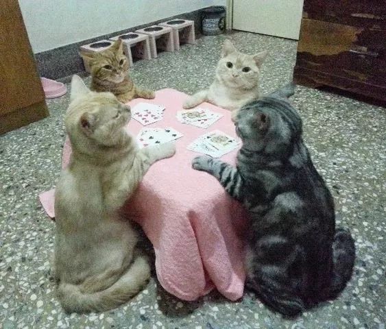 FB_IMG_1526059573113.jpg