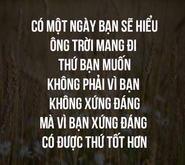 FB_IMG_1527491671667.jpg