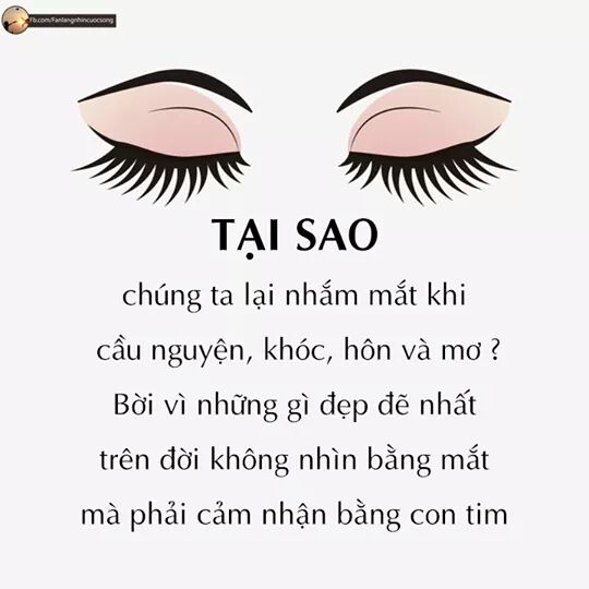 FB_IMG_1533316416519.jpg