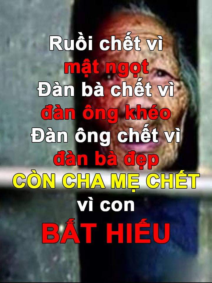 FB_IMG_1541470790713.jpg