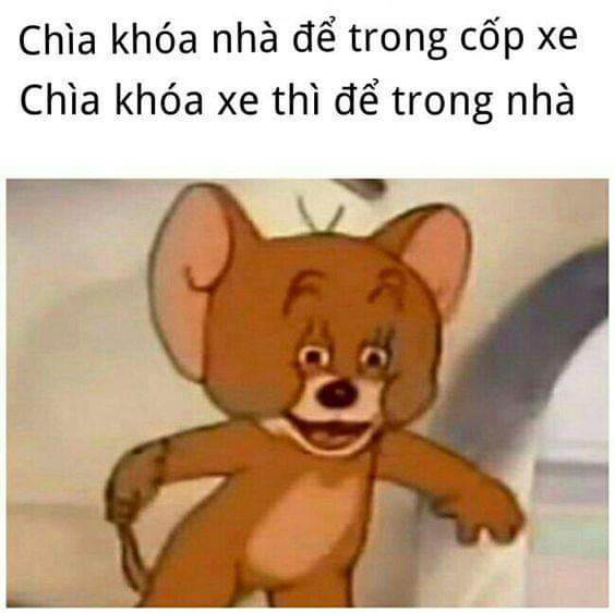 FB_IMG_1553481311204.jpg