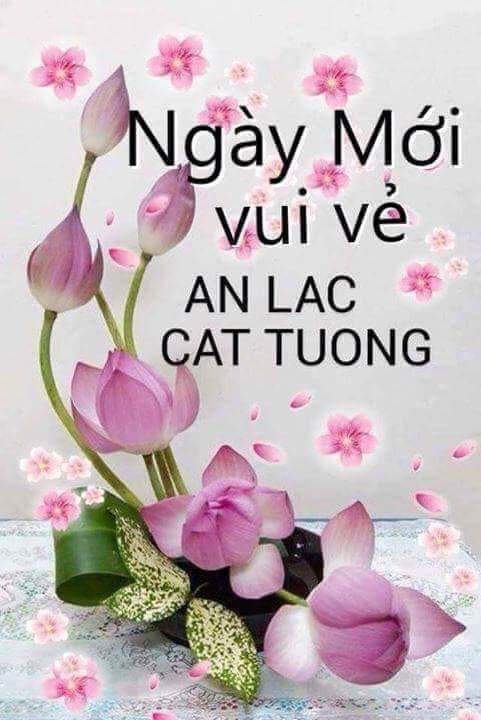 FB_IMG_1554857800113.jpg