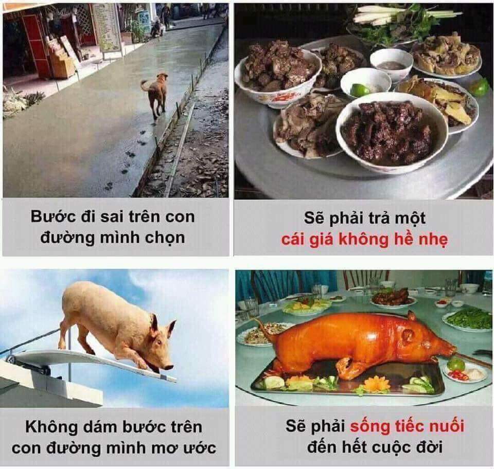 FB_IMG_1555248999713.jpg