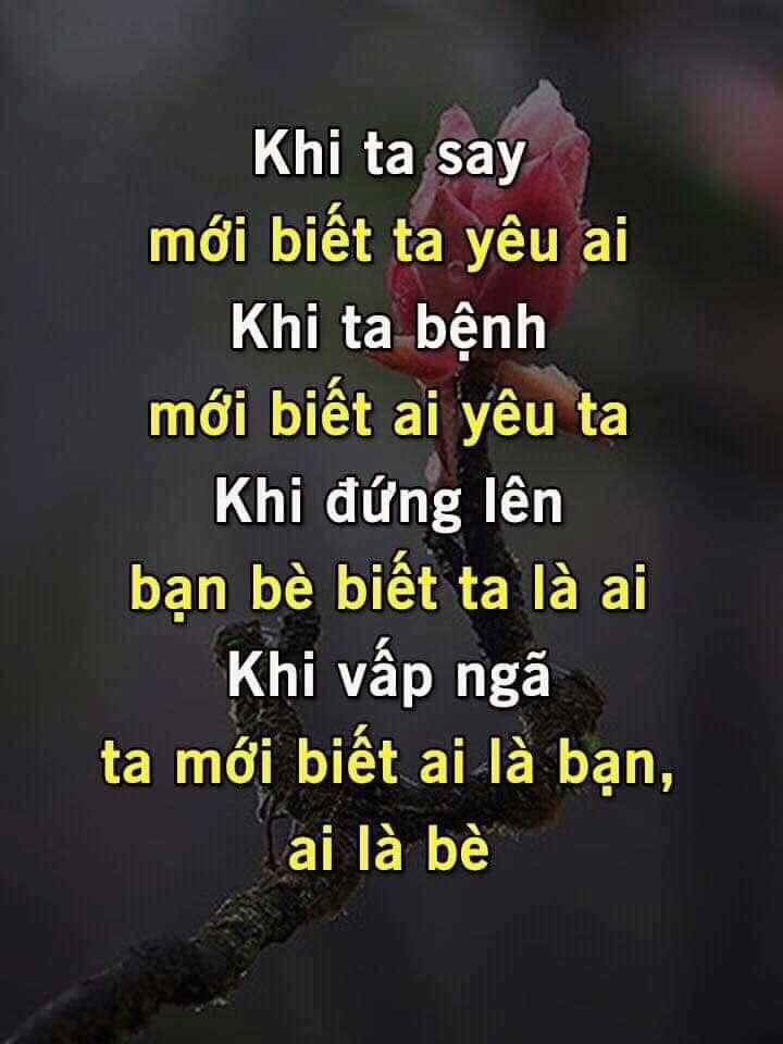 FB_IMG_15633511199159743.jpg