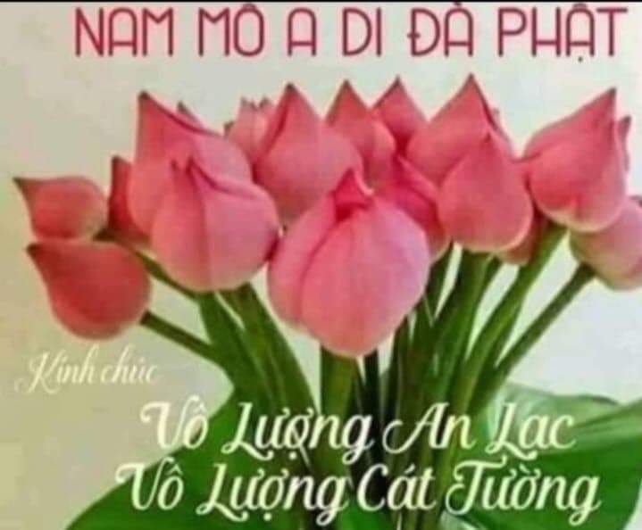 FB_IMG_1581605472887.jpg