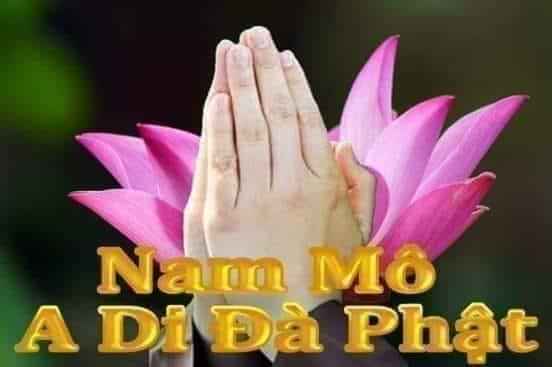 FB_IMG_1584429546562.jpg