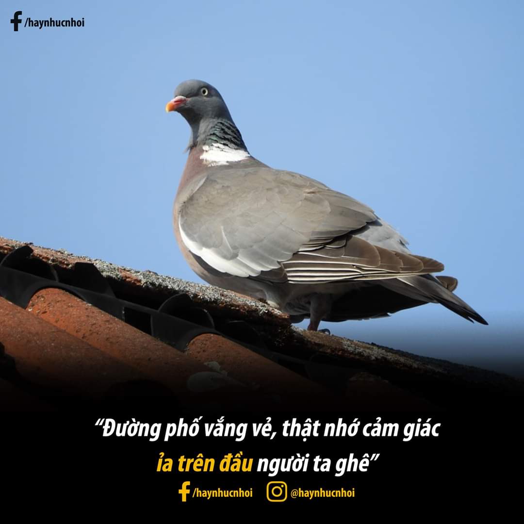 FB_IMG_1587912903439.jpg