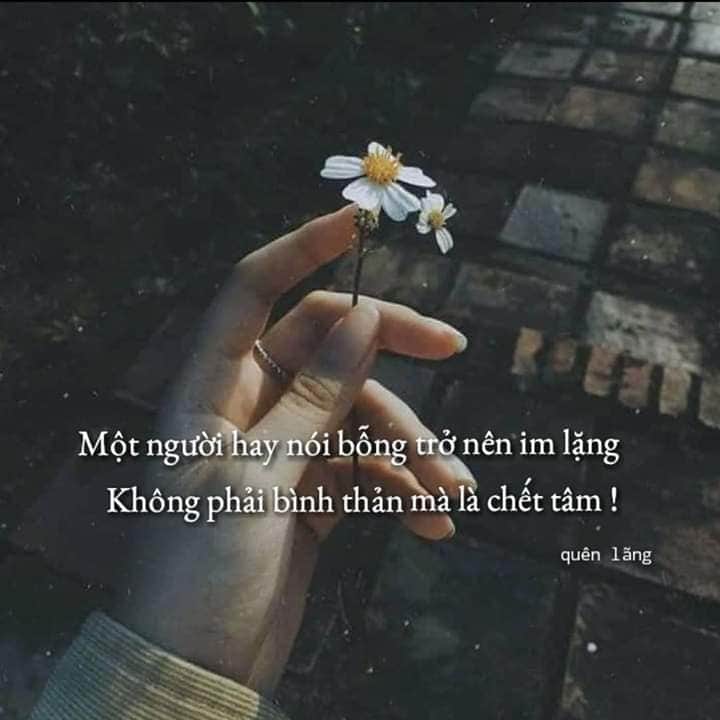 FB_IMG_1595766306340.jpg
