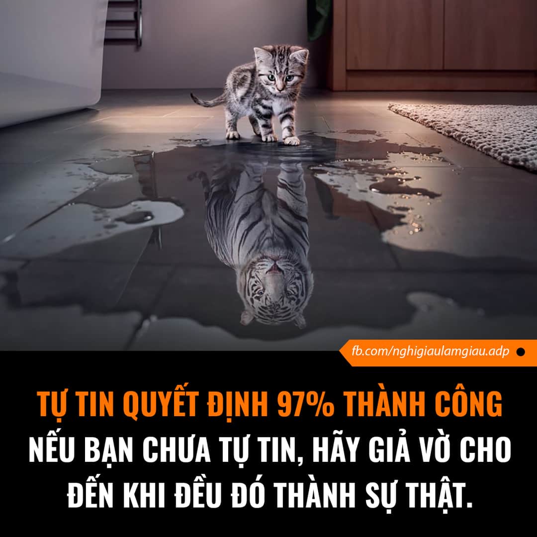 FB_IMG_1596096360938.jpg