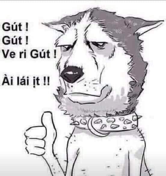 FB_IMG_1597551661843.jpg