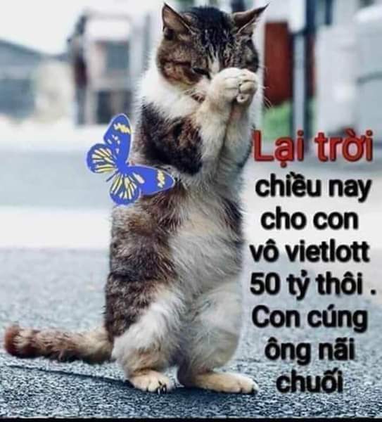 FB_IMG_1641351592454.jpg