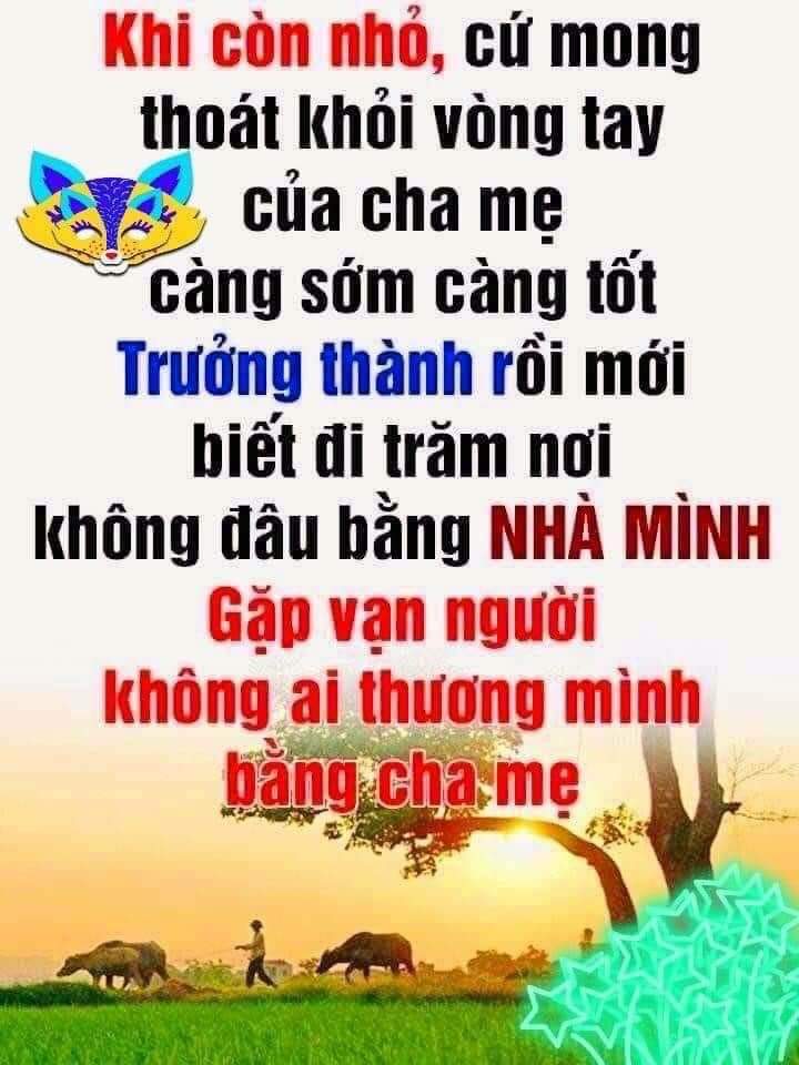 FB_IMG_1651728621938.jpg