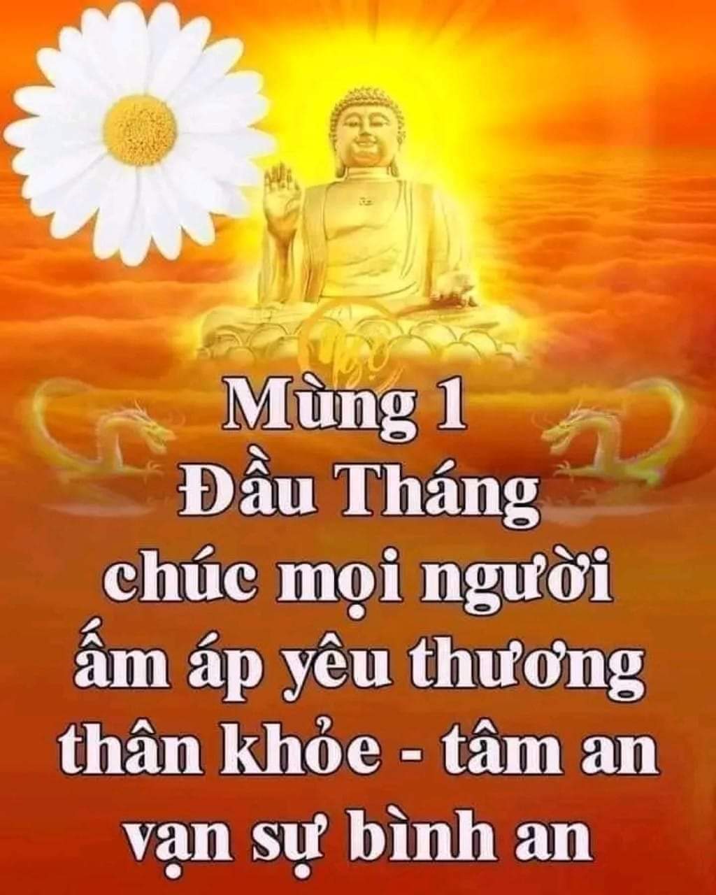 FB_IMG_1702427929763.jpg