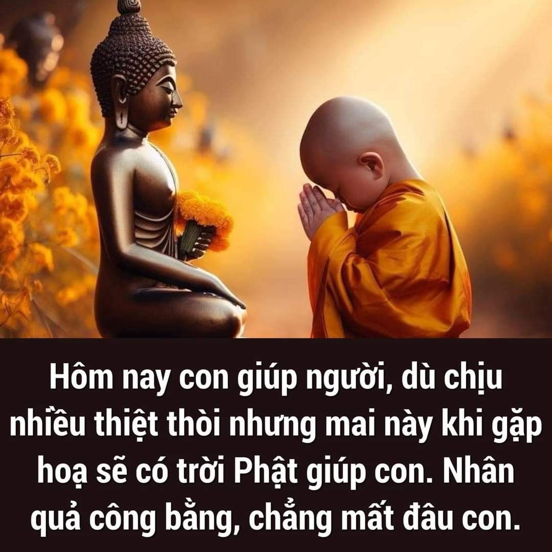 FB_IMG_1706112024529.jpg