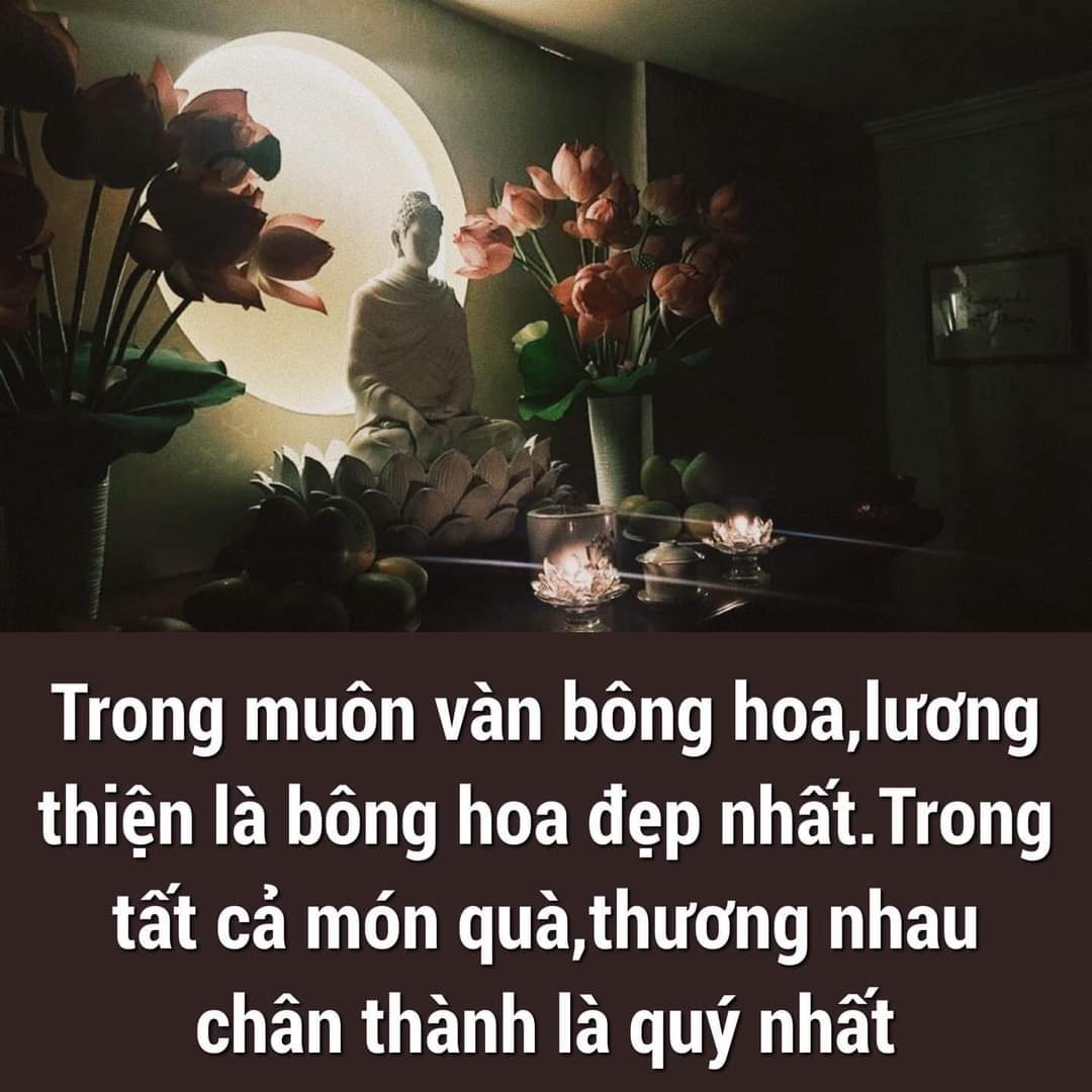 FB_IMG_1709861519315.jpg