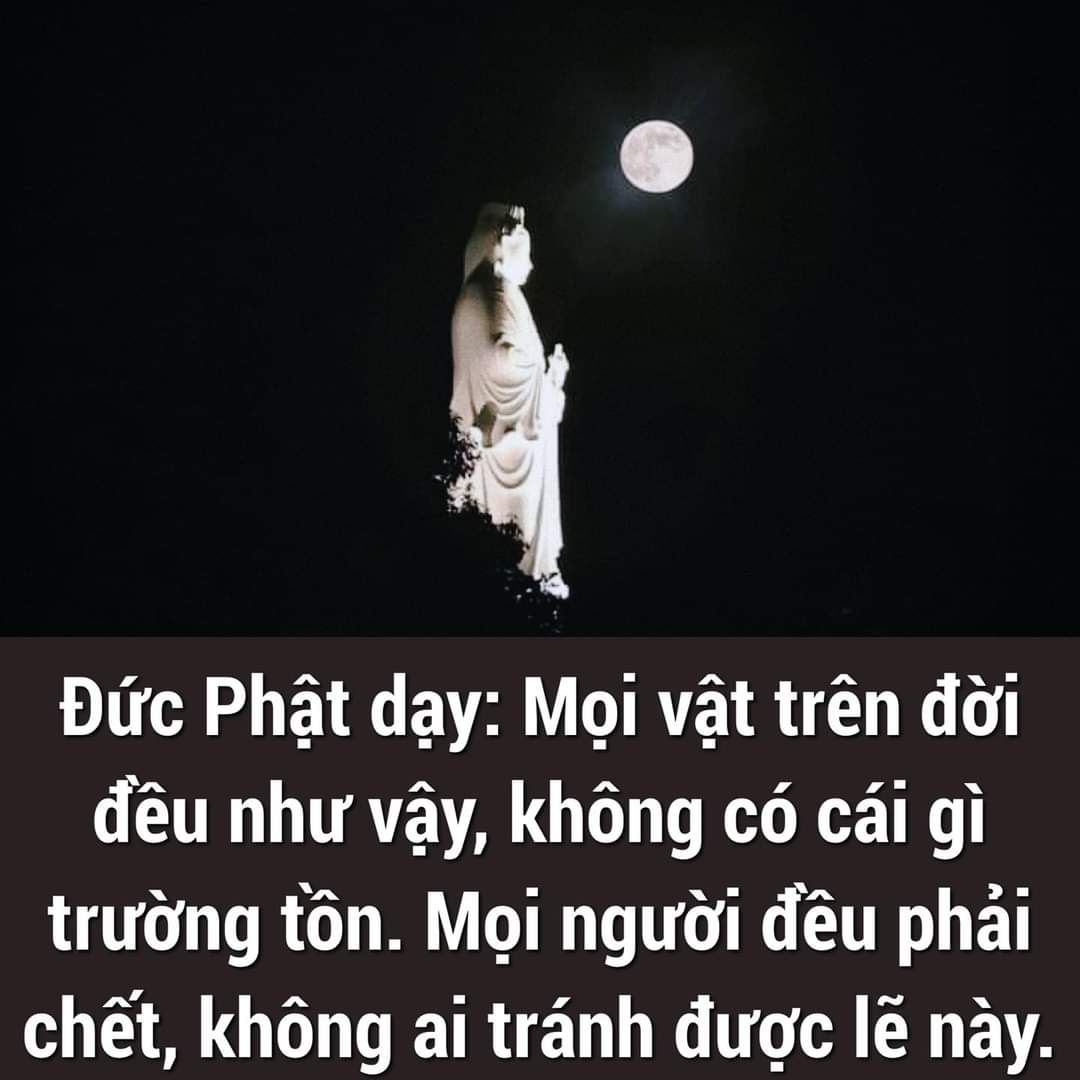 FB_IMG_1711127744919.jpg